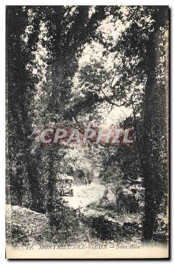 CPA Montrieux le Vieux Sous Bois 