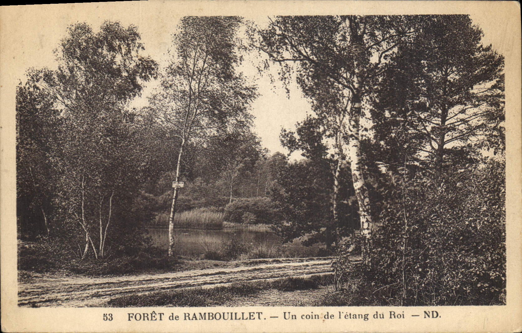 Forêt de Rambouillet — Un coin de l'étang du Roi — ND.
