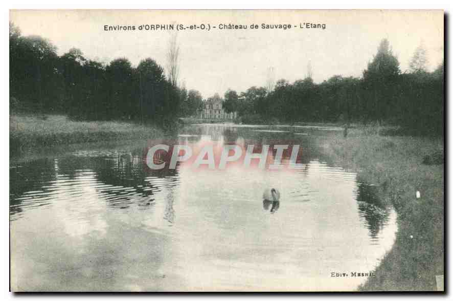 Environs d'ORPHIN (S.-et-O.) - Château de Sauvage - L'Étang — Edit. Meenhal