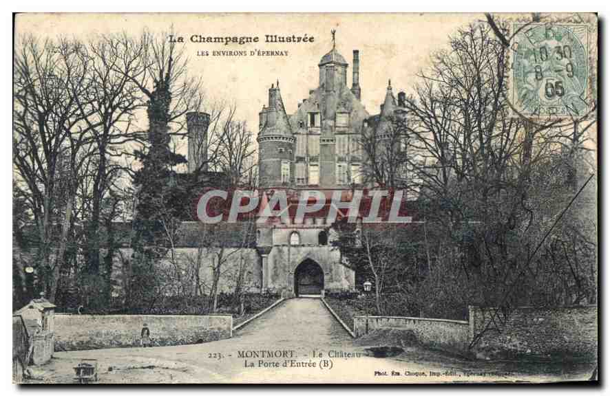 CPA Montmort Le Chateau La POrte d'Entree 