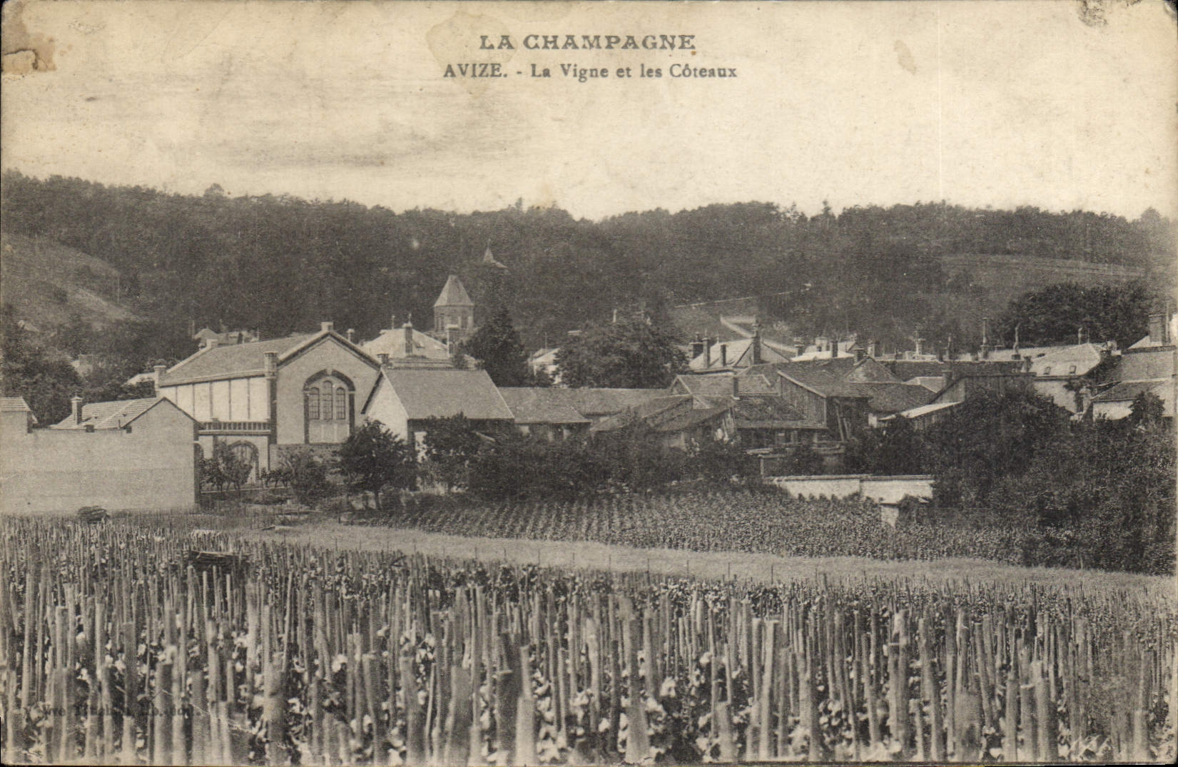 CPA La Champagne Avize La Vigne et les Coreaux 