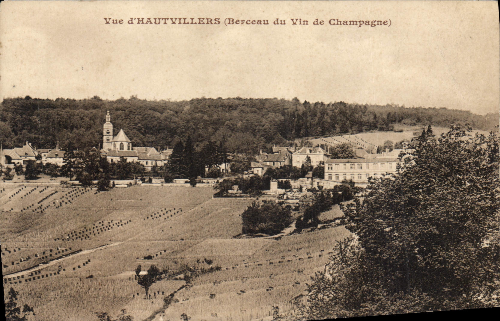 CPA Vue d'Hautvillers Berceau du Vin de Champagne 