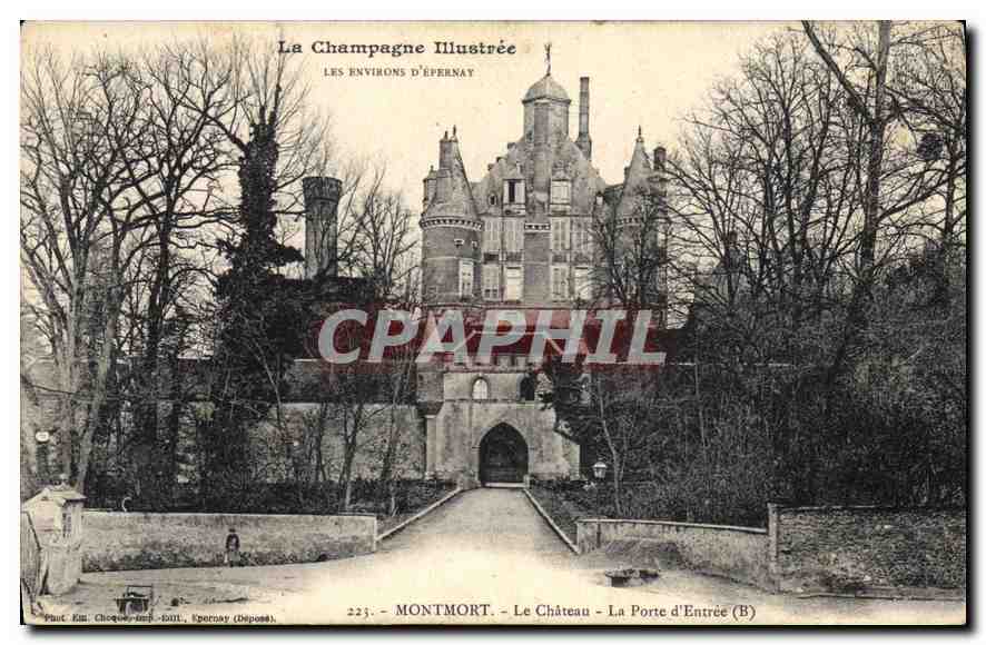 CPA Montmort Le Chateau La Porte d'Entree 