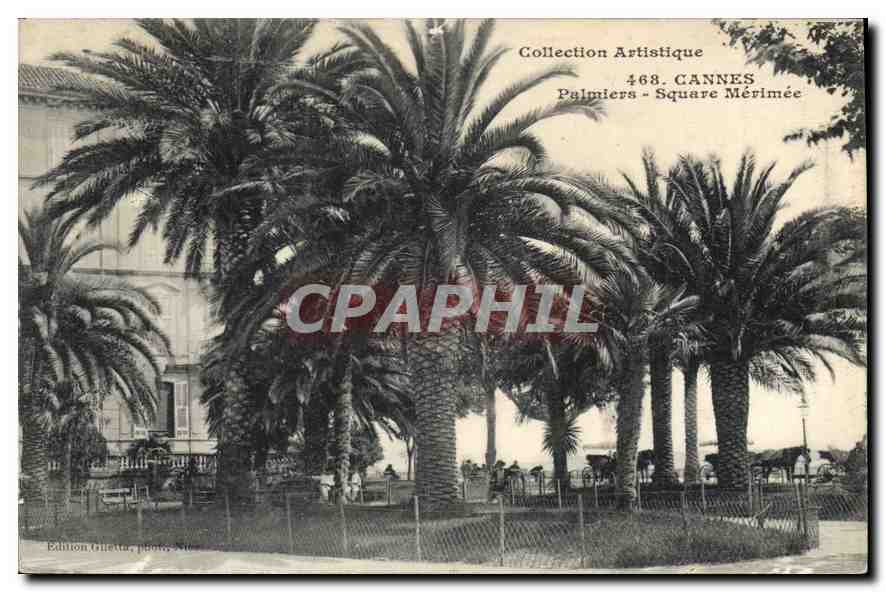 CPA Cannes Palmiers Square Merimee 