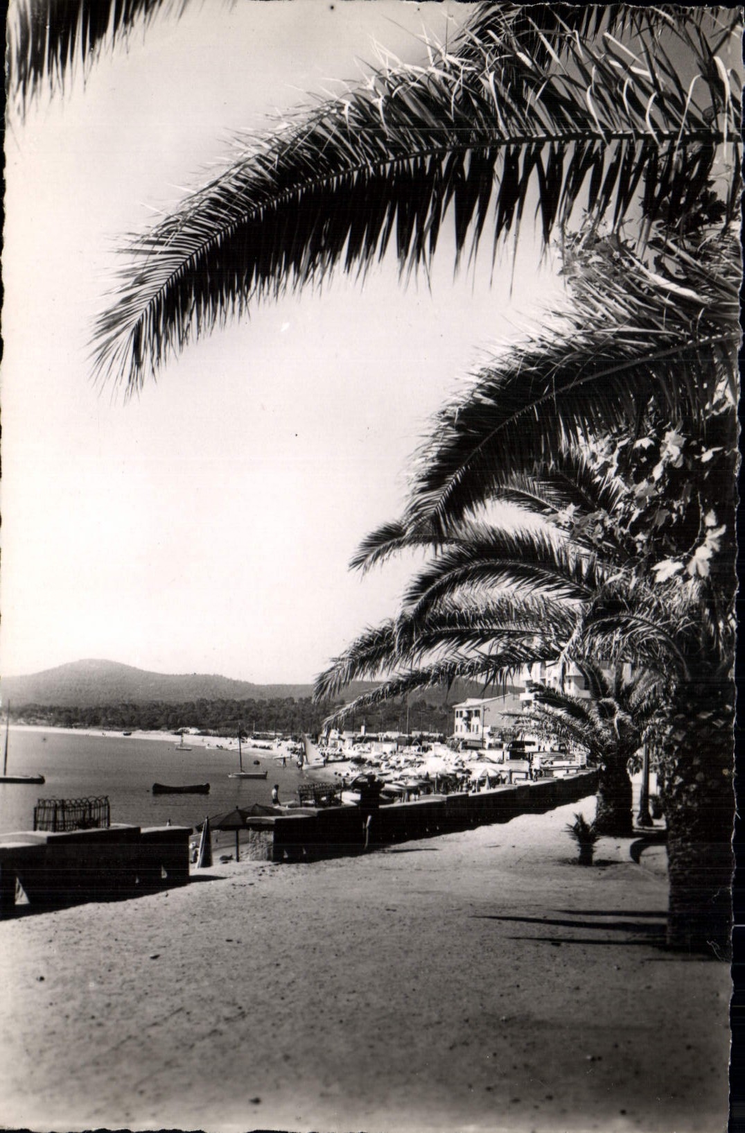 Le Lavandou — plage et palmiers — Photo LEMAIRÉ, n°6