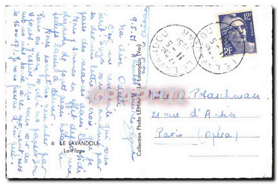 Le Lavandou — plage et palmiers — Photo LEMAIRÉ, n°6 — Verso