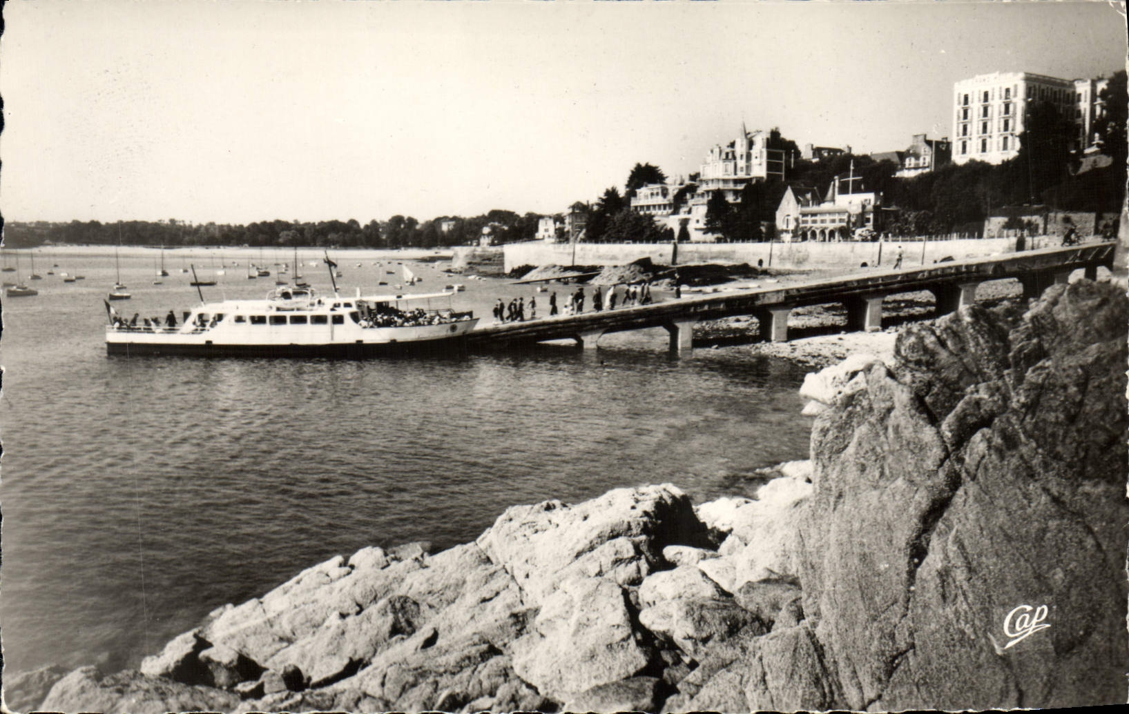 CPA Dinard Les Vedettes Vertes La Promenade du Clair de Lune le Yacht Club 