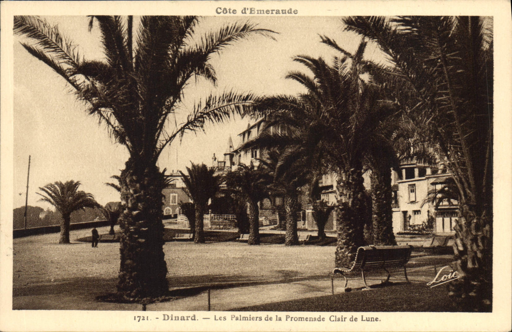 Dinard — Die Palmen der Clair de Lune Promenade — Loïc
