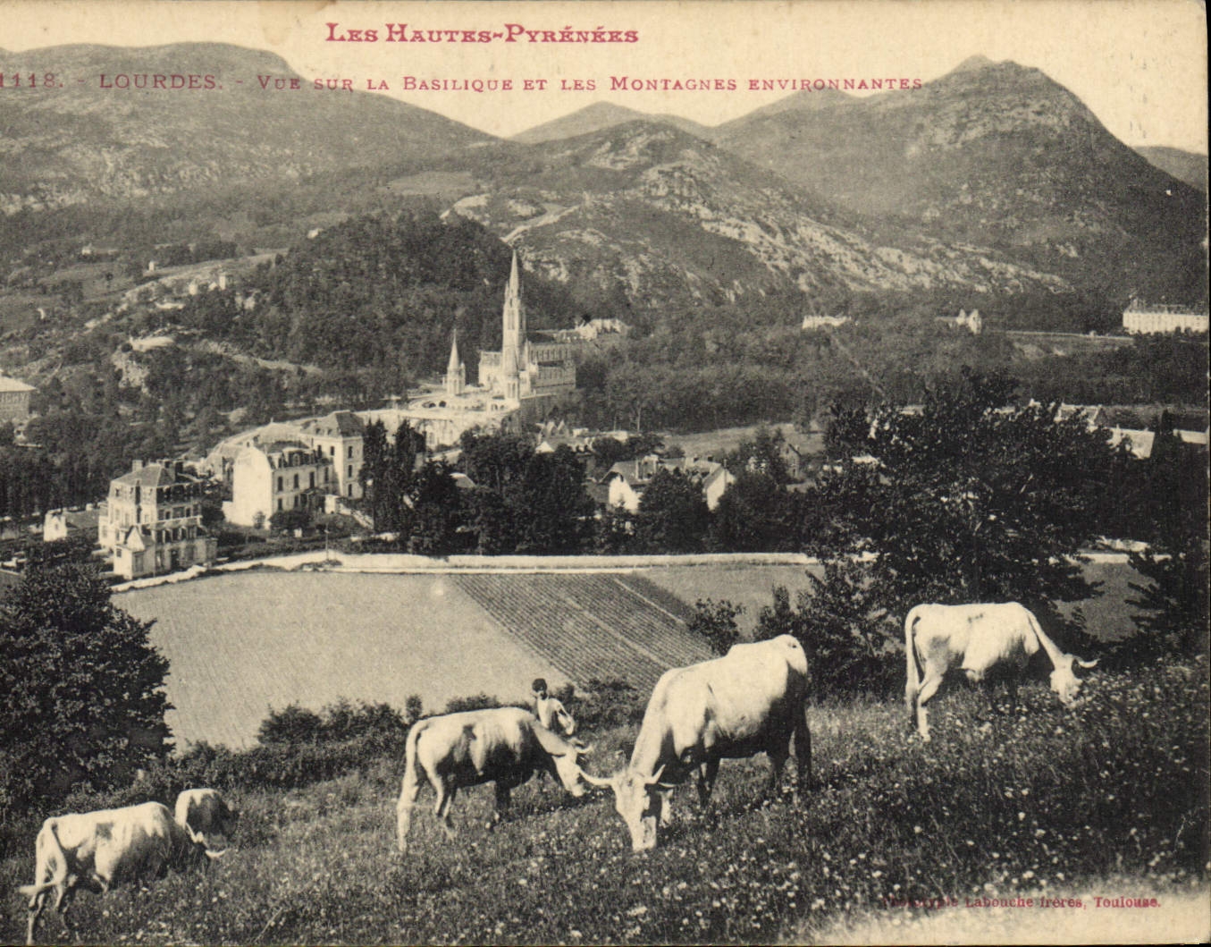 CPA Les Hautes Pyrenees Lourdes Vue sur la Basilique et les Montagnes environnantes Vaches