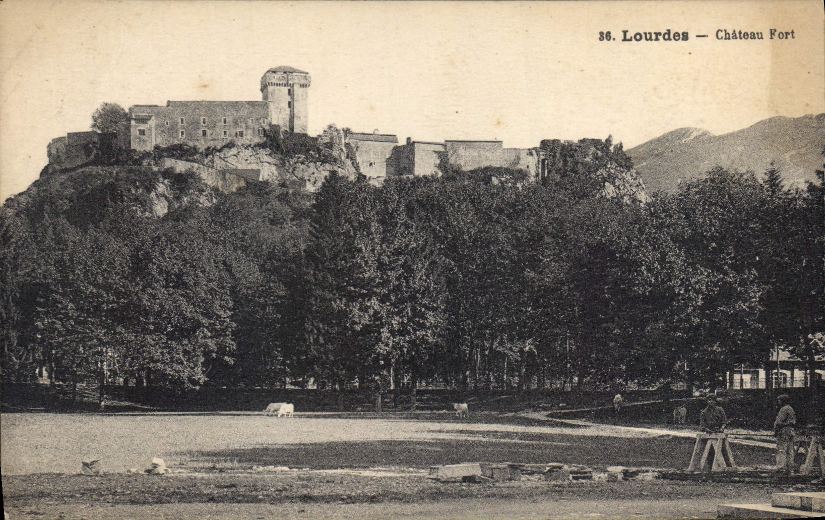 CPA Lourdes Chateau Fort 