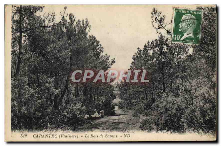 CPA Carantec Finistere le Bois de Sapins 