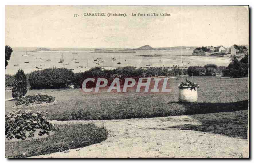 CPA Carantec Finistere le port et l'Ile Callot 