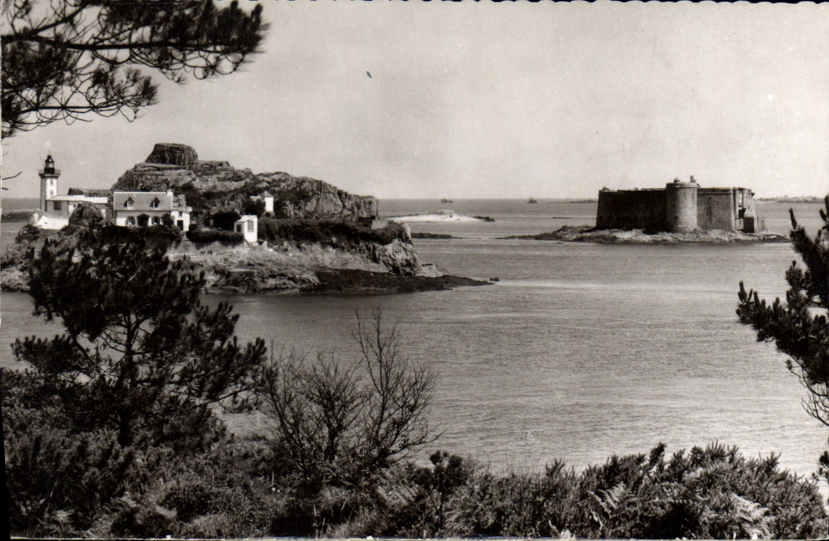 CPA Carantec Finistere l'Ile Louet et le chateau du Taureau 