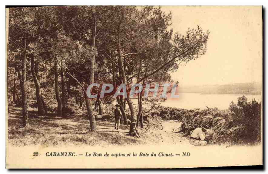 CPA Carantec le Bois de Sapins et le Baie du Couet 