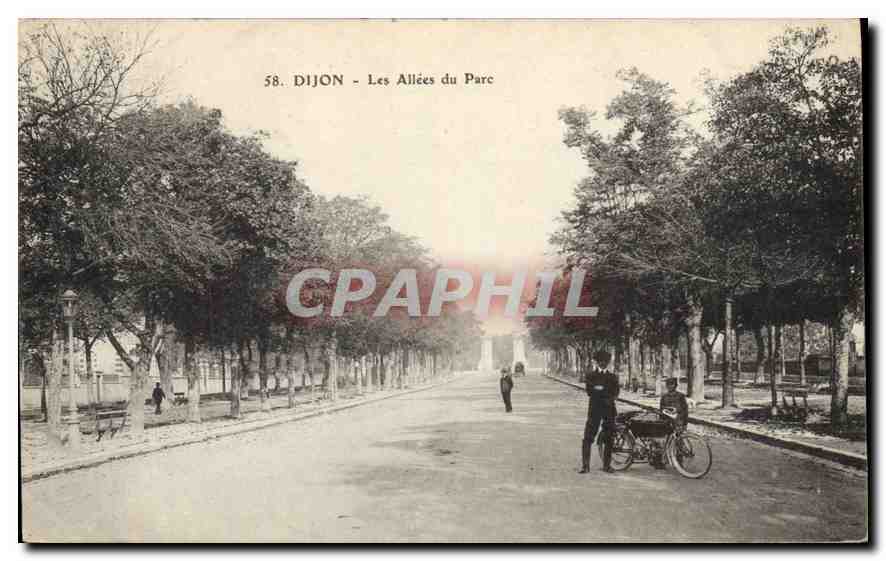 CPA Dijon Les Allees du Parc 