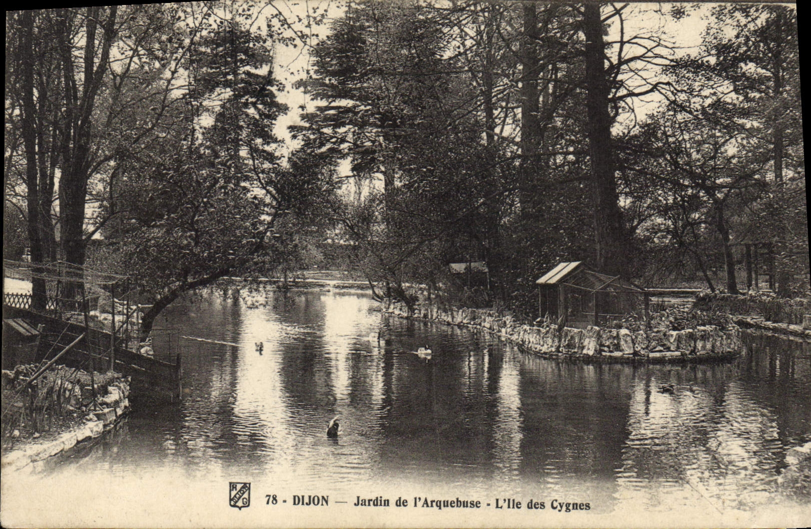 CPA Dijon Jardin de l'Arquebuse l'Ile des Cygnes 