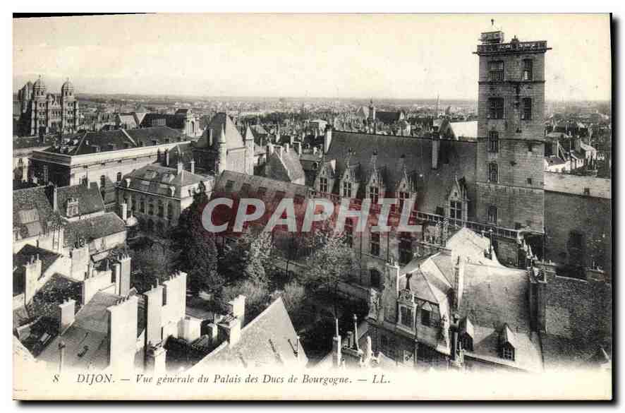 CPA Dijon Vue generale du Palais des Ducs de Bourgogne 