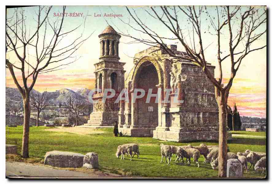 CPA Saint Remy Les Antiques Moutons