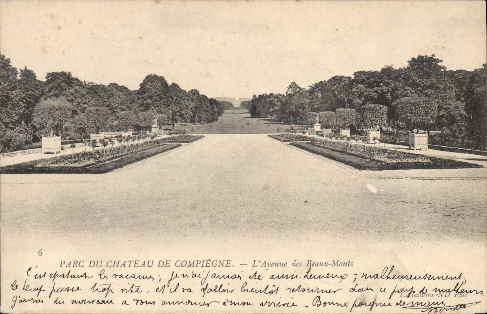 CPA Parc du Chateau de Compiegne L'Avenue des Beaux Monts
