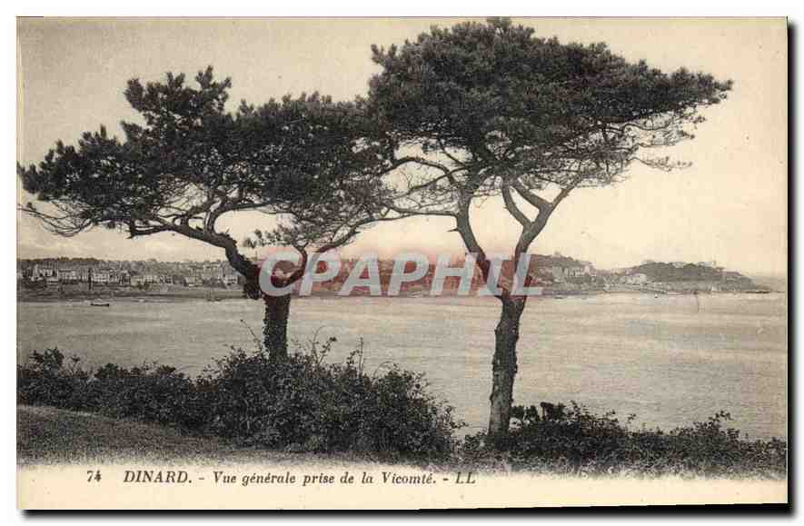 CPA Dinard Vue generale prise de la Vicomte 