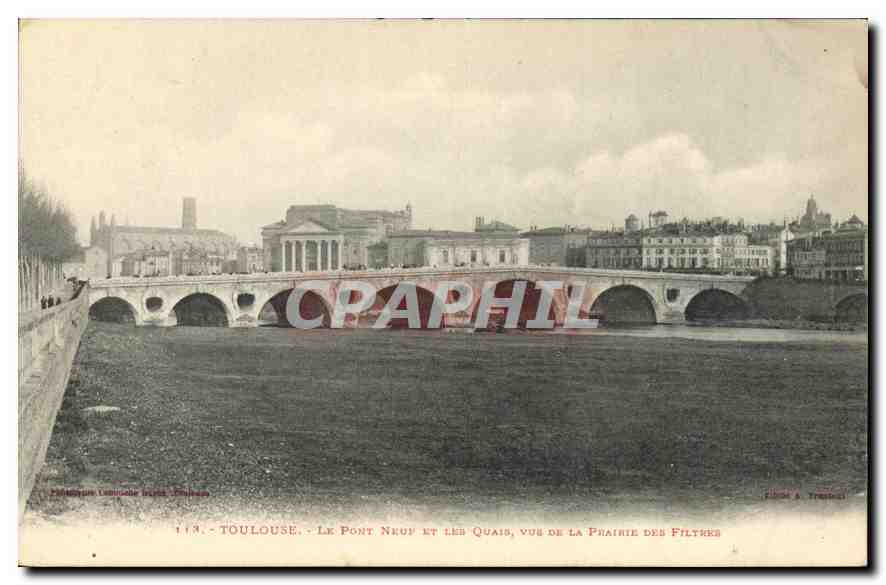 CPA Toulouse Le Pont Neuf et les Quais vus de la prairie des Filtres