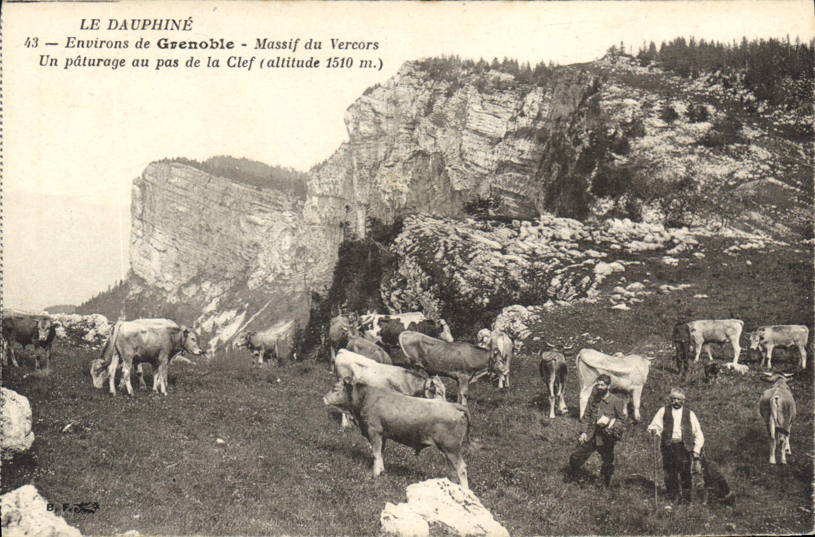 Le Dauphiné — Umgebung von Grenoble - Massif du Vercors — Eine Weide am Pas de la Clef (Höhe 1510 m.) — B. P. O. S.