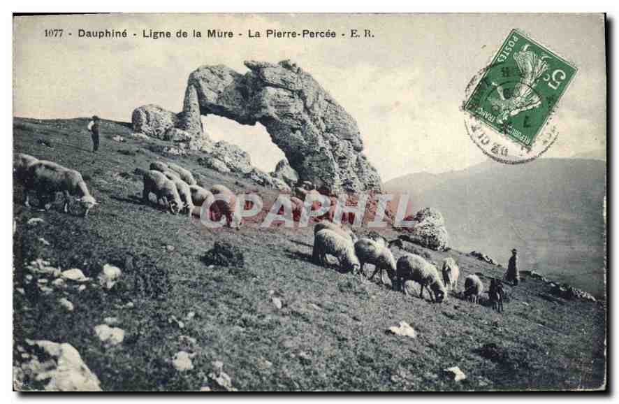 CPA Dauphine Ligne de la Mure la Pierre Percee Berger Moutons