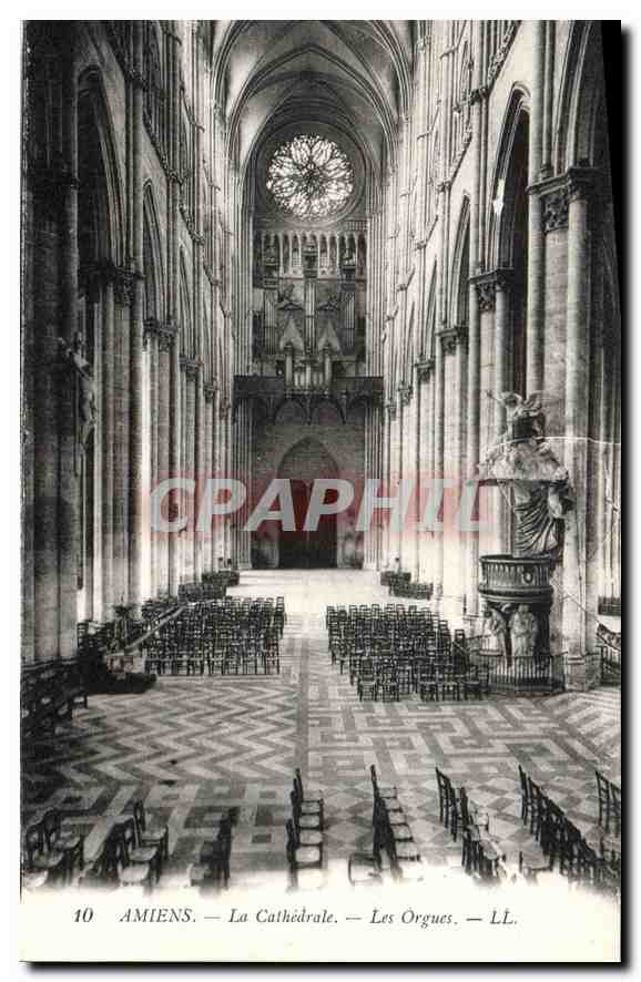 CPA Amiens la cathedrale les Orgues 