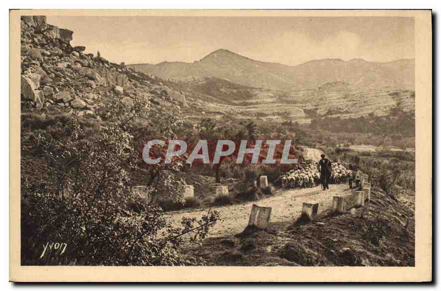 CPA Paysages et Pierres de Provence