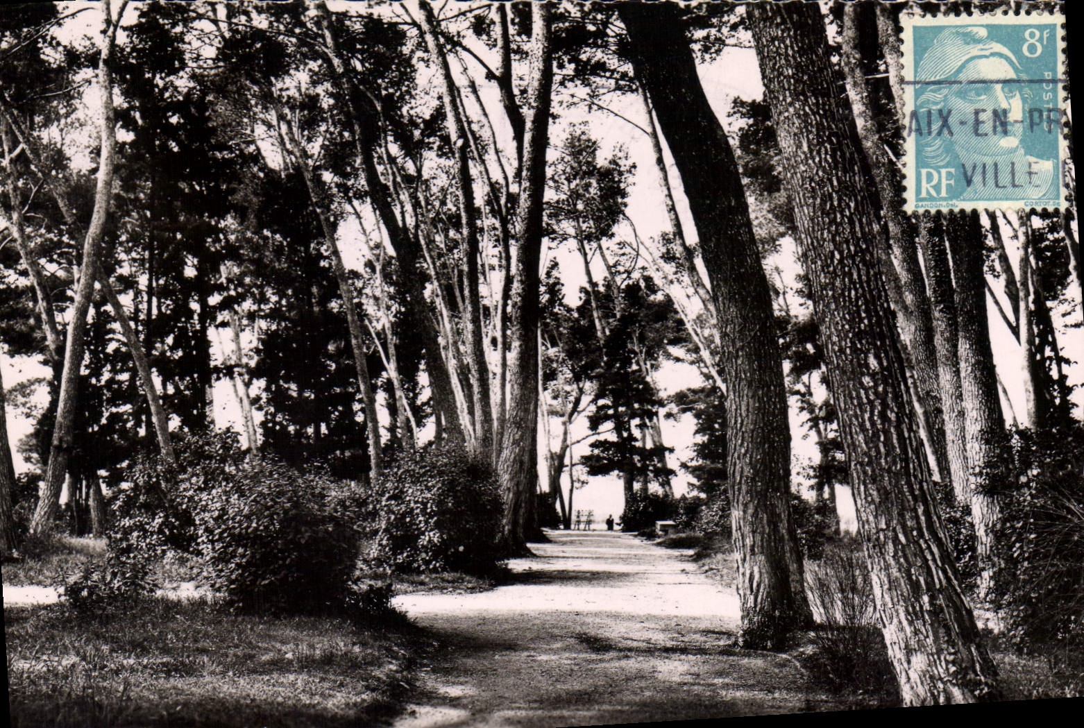 Aix-en-Provence — Unterholz im Jourdan Park — Éditions Carpathi