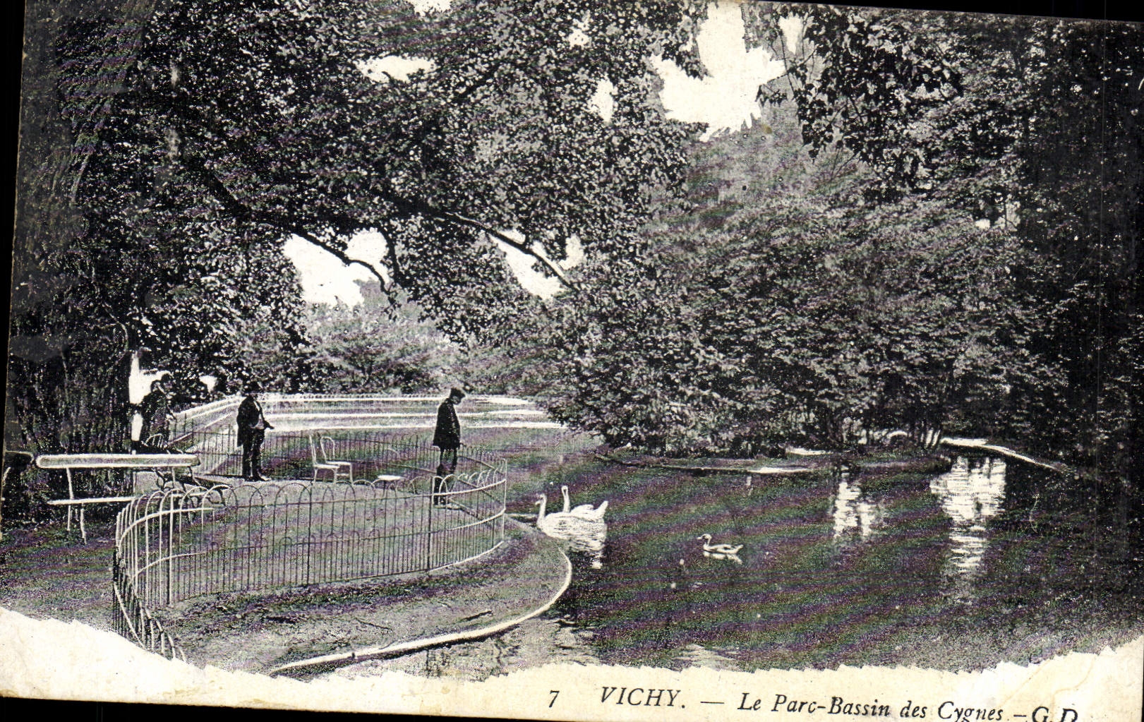 CPA Vichy Parc Bassin des Cygnes