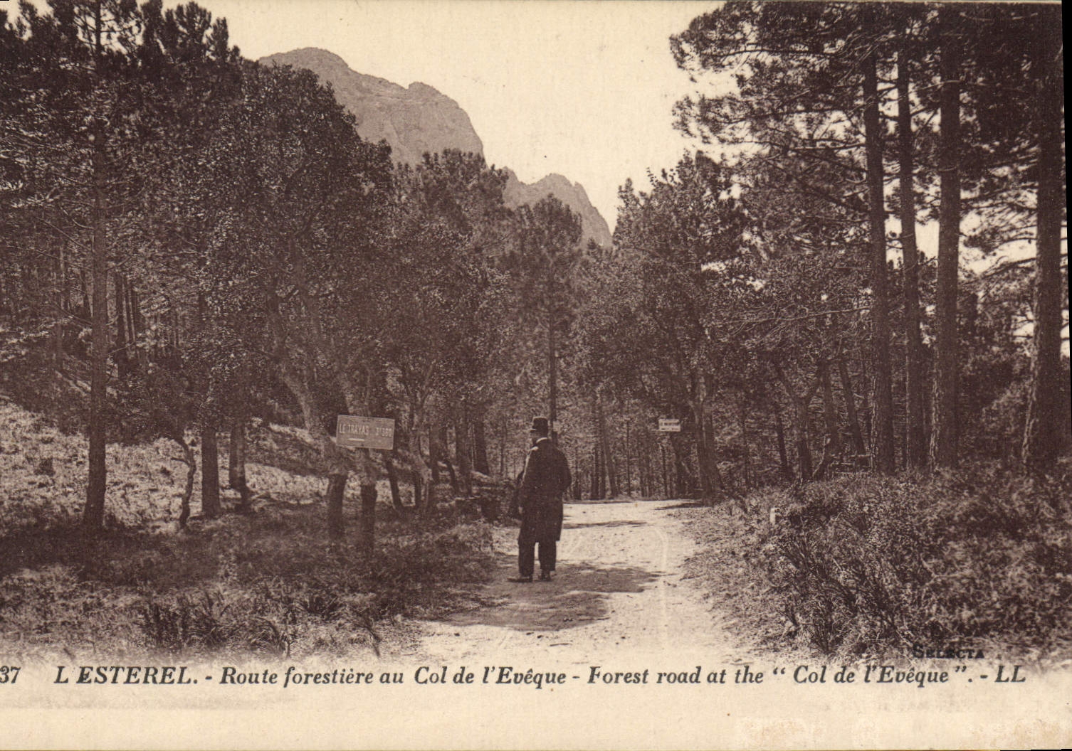 CPA Esterel Route forestiere au Col de l'Eveque