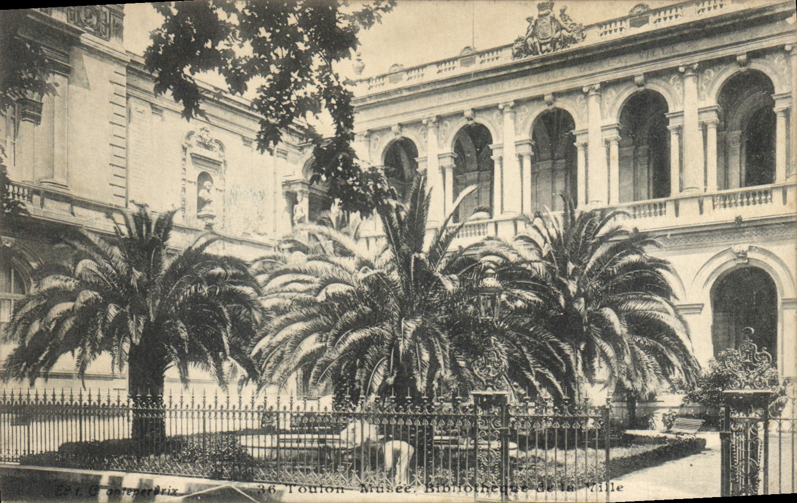 CPA Toulon Musee Bibliotheque de la ville