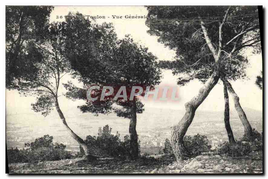 Toulon - Vue Générale — vue panoramique depuis un promontoire arboré
