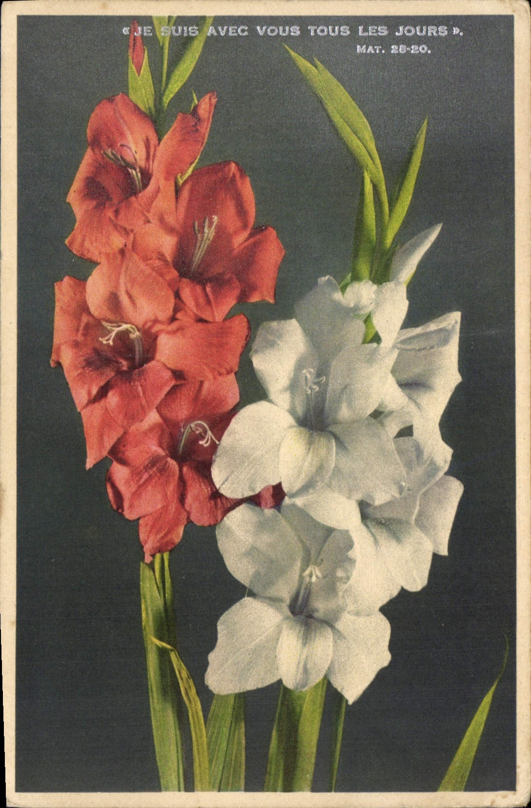 CPA Je suis avec vous tous les jours Fleurs Glaieuls