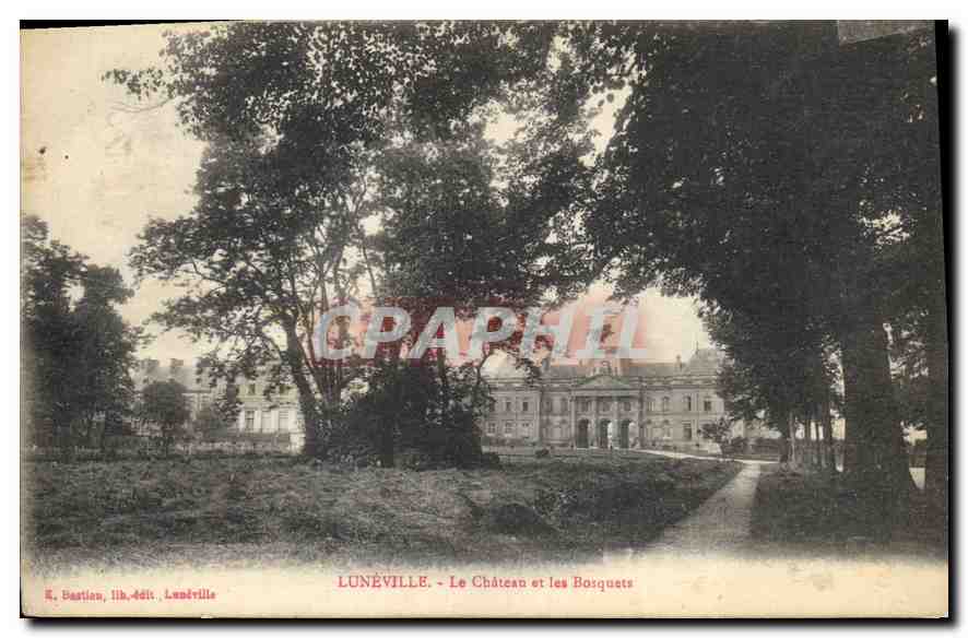 CPA Luneville Le CHateau et les Bosquets