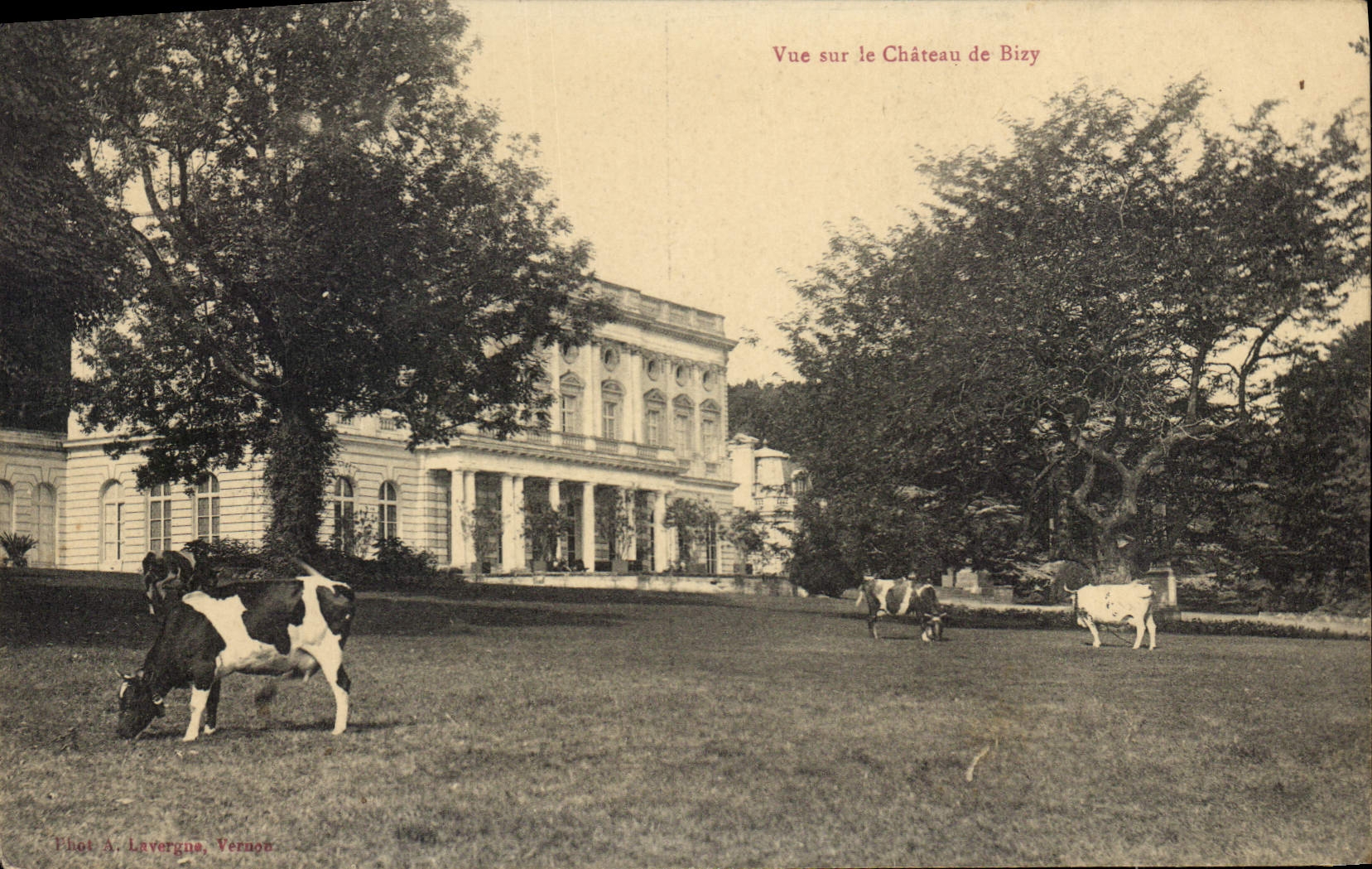 CPA Vue sur le Chateau de Bizy Vaches