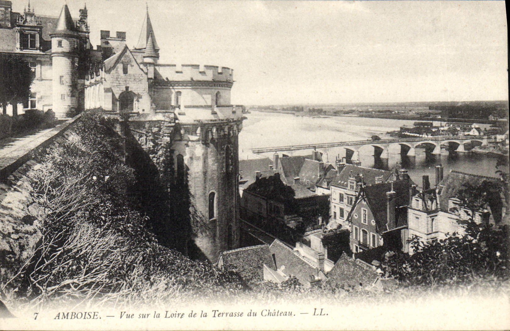 CPA Amboise Vue sur la Loire de la Terrasse du Chateau