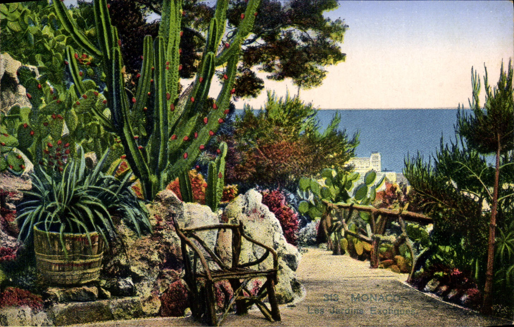 CPA Monaco Les Jardins Exotiques