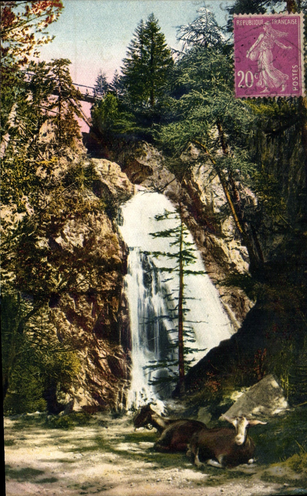 CPA Environs de Saint Martin Vesubie Station Estivale
