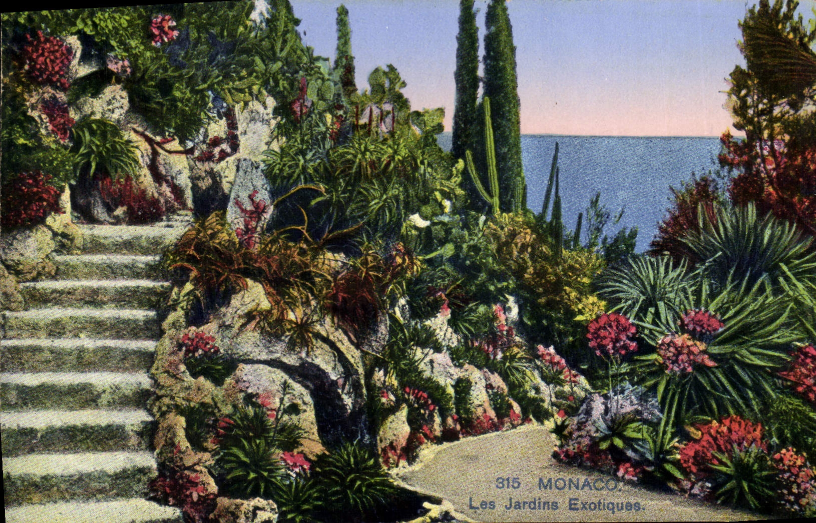 CPA Monaco Les Jardins Exotique