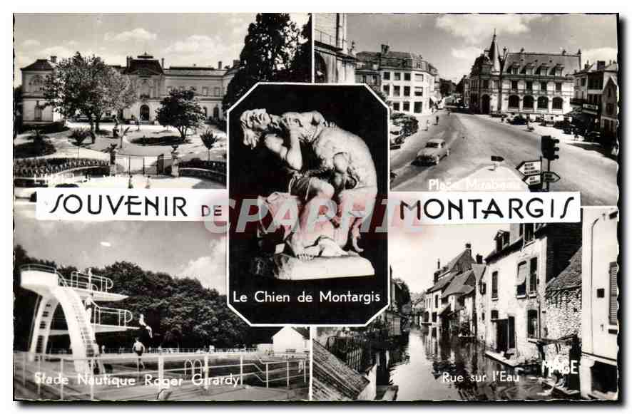 CPA Montargis Souvenir Le Chien de Montargis Stade nautique Roger Girardy Rue sur l'eau Place Mirabe