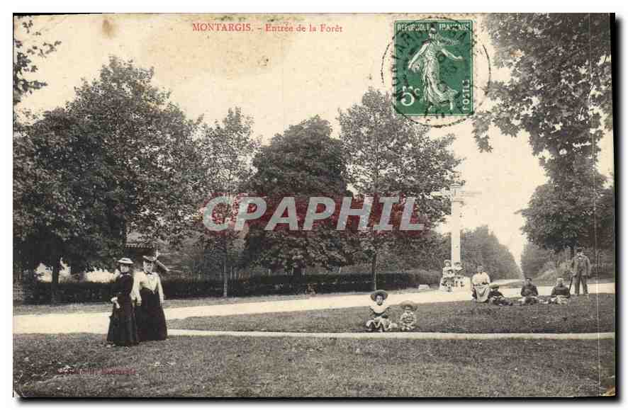 CPA Montargis Entree de la Foret