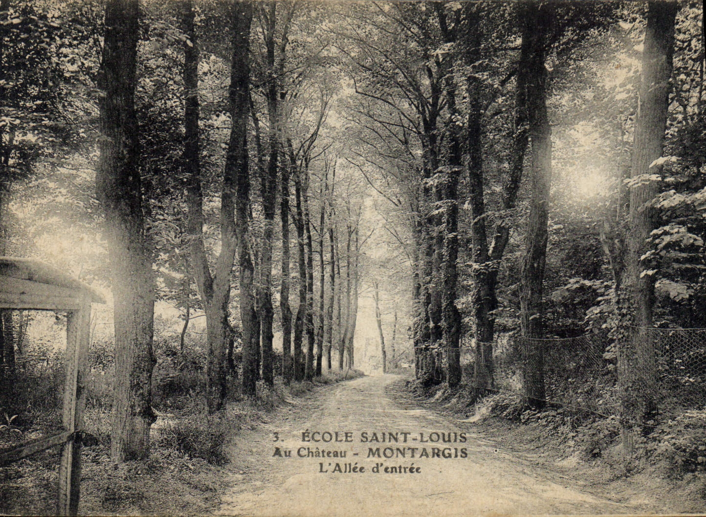 CPA Montargis Ecole Saint Louis Au château L'allee centrale