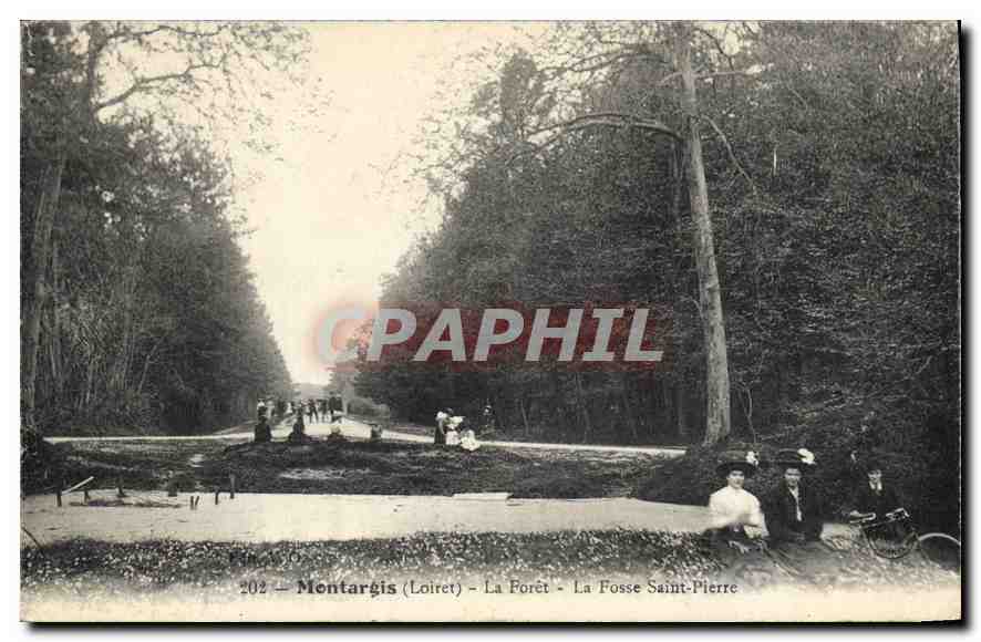 CPA Montargis (Loiret) La Forêt La fosse Saint Pierre