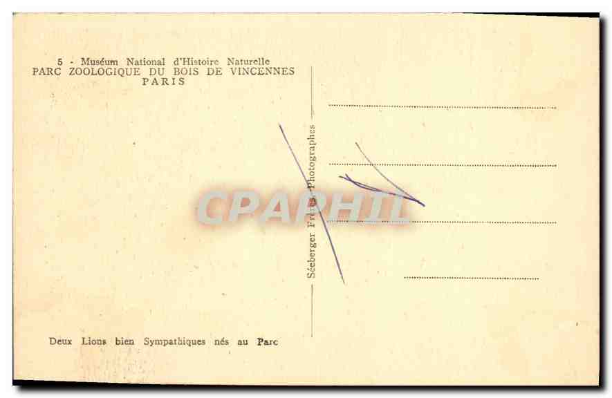 CPA Paris Parc zoologique du Bois de Vincennes Lion — Rückseite