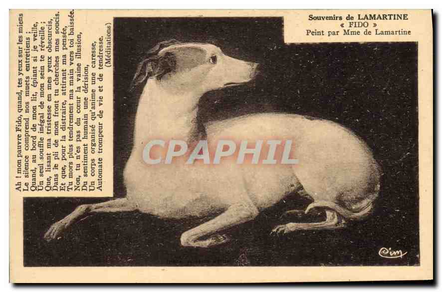 CPA Souvenir de Lamartine Fido Chien