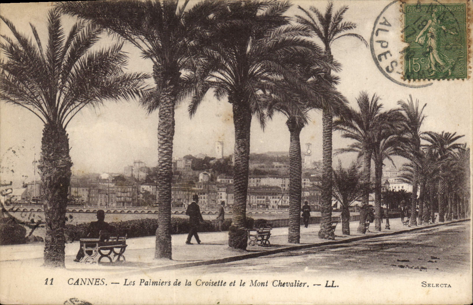 CANNES — Les Palmiers de la Croisette et le Mont Chevalier — LL. — SELECTA