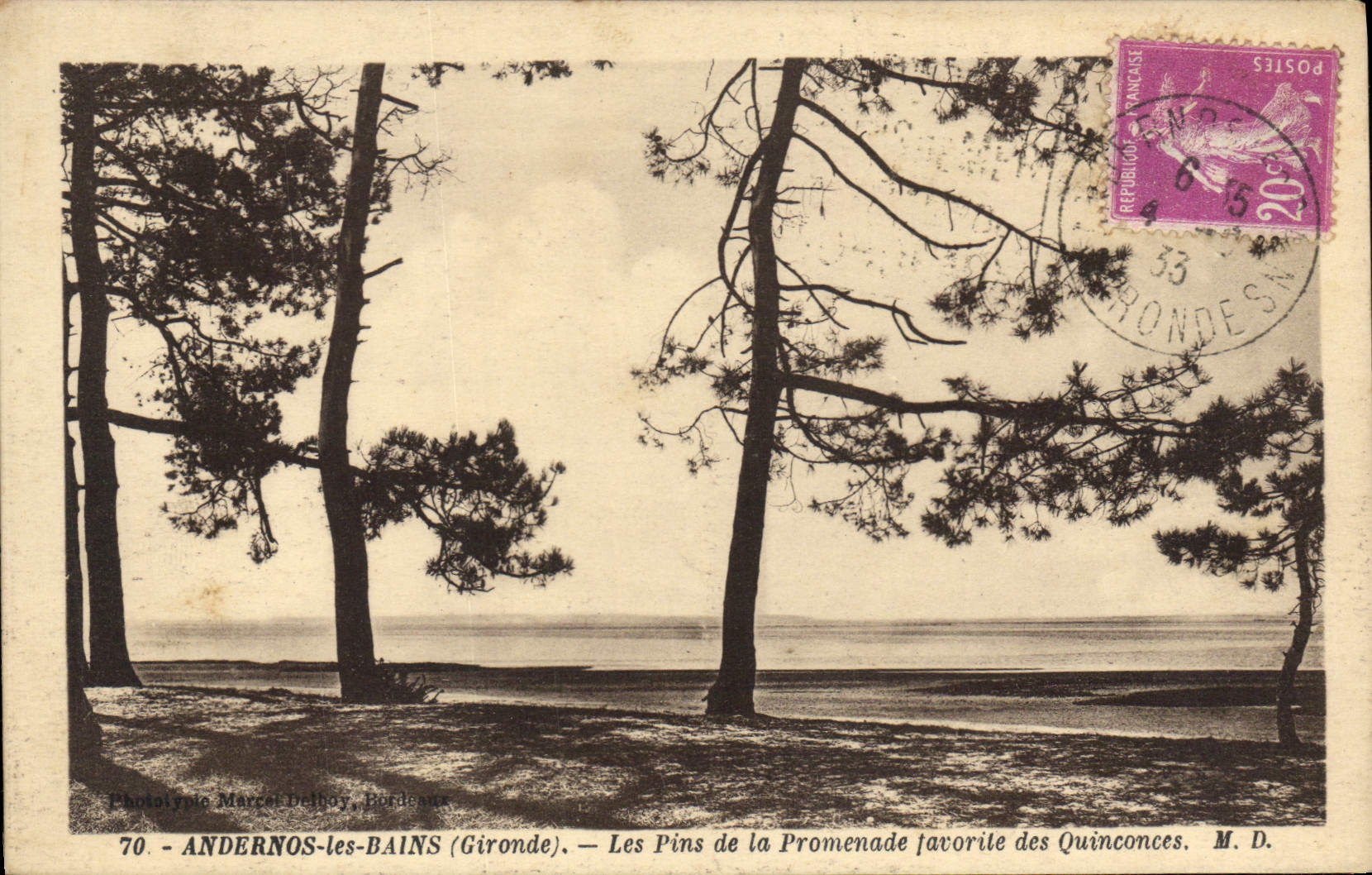CPA Andernos les Bains Gironde Les Pins de la Promenade favorite des quinconces 