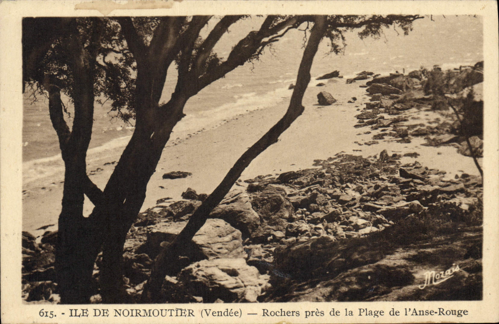 CPA Ile de Noirmoutier Vendee Rochers pres de la Plage de l'Anse Rouge 